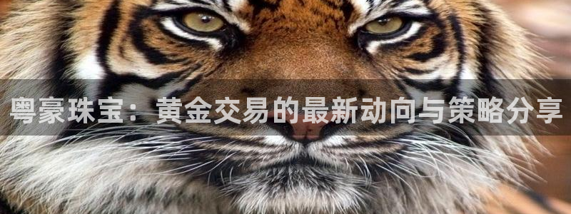 开丰娱乐会员中心