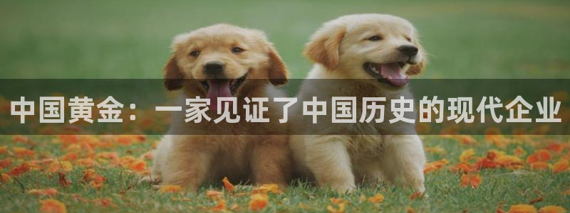 开丰娱乐怎么样：中国黄金：一家见证了中国历史的现代企业