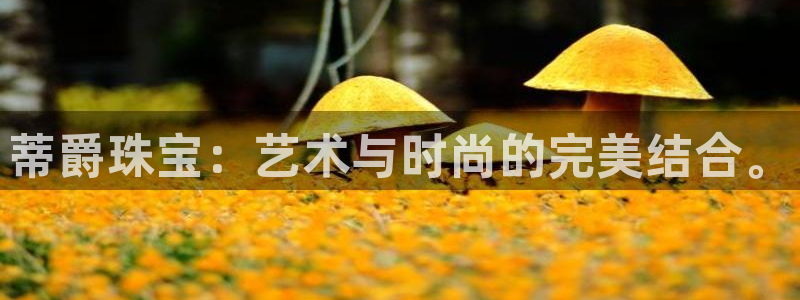 开丰娱乐平台地址查询：蒂爵珠宝：艺术与时尚的完美结合。