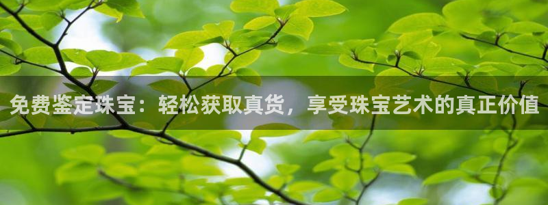 开丰娱乐左7O667