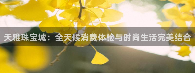 开丰娱乐后：天雅珠宝城：全天候消费体验与时尚生活完美结合