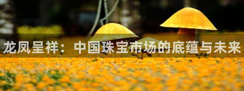开丰娱乐下载安装：龙凤呈祥：中国珠宝市场的底蕴与未来