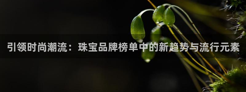 开丰娱乐日：引领时尚潮流：珠宝品牌榜单中的新趋势与流行元素