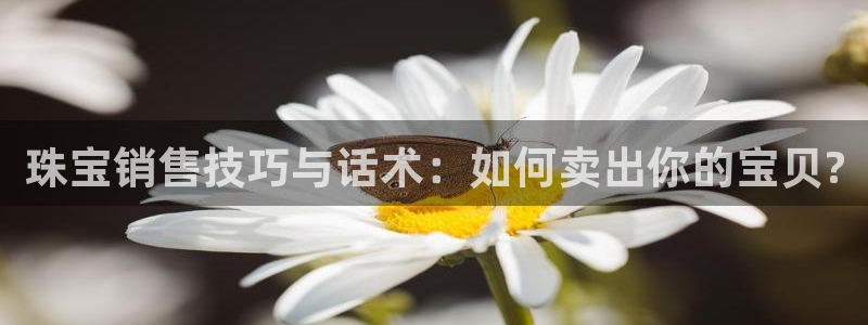 开丰娱乐网官网注册入口：珠宝销售技巧与话术：如何卖出你的宝贝?