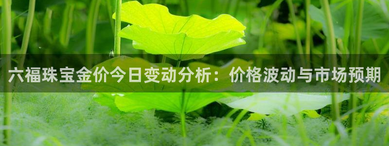 开丰娱乐注册自判官333OO：六福珠宝金价今日变动分析：价格波动与市场预期