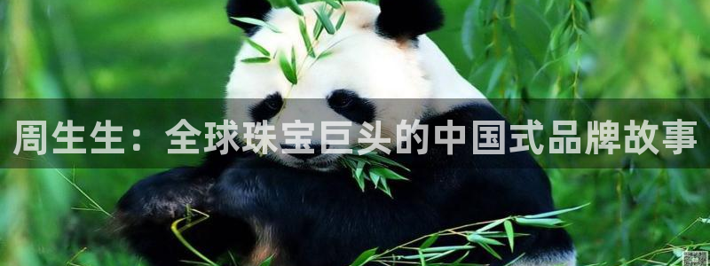 开丰娱乐左7O667：周生生：全球珠宝巨头的中国式品牌故事