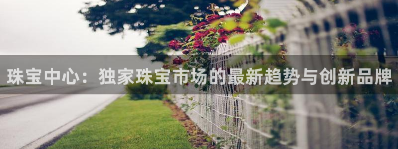 开丰娱乐注册：珠宝中心：独家珠宝市场的最新趋势与创新品牌