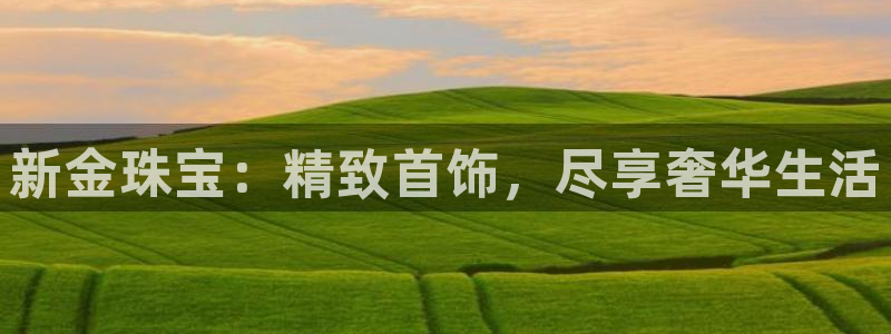 开丰娱乐月：新金珠宝：精致首饰，尽享奢华生活