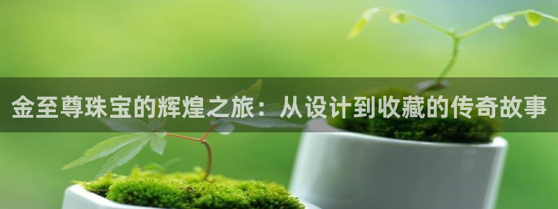 开丰娱乐日7O667：金至尊珠宝的辉煌之旅：从设计到收藏的传奇故事