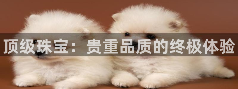 开丰娱乐与六七五一38：顶级珠宝：贵重品质的终极体验