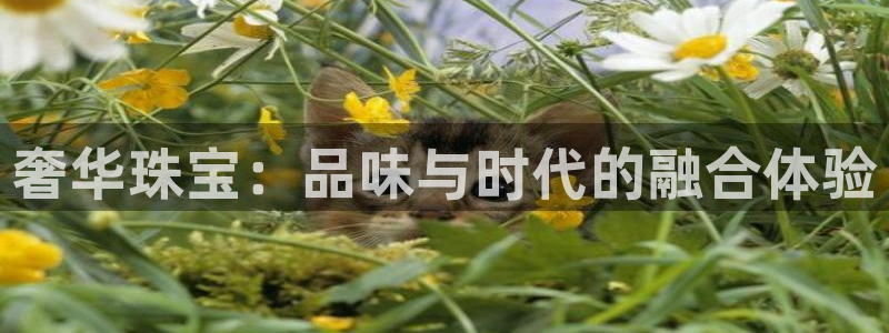 开丰娱乐官网：奢华珠宝：品味与时代的融合体验