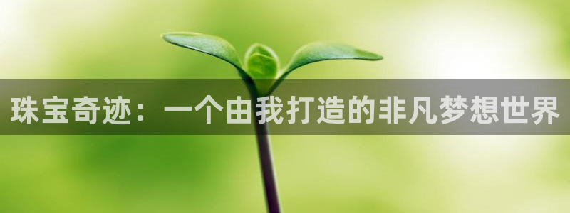 开丰娱乐登陆地址：珠宝奇迹：一个由我打造的非凡梦想世界