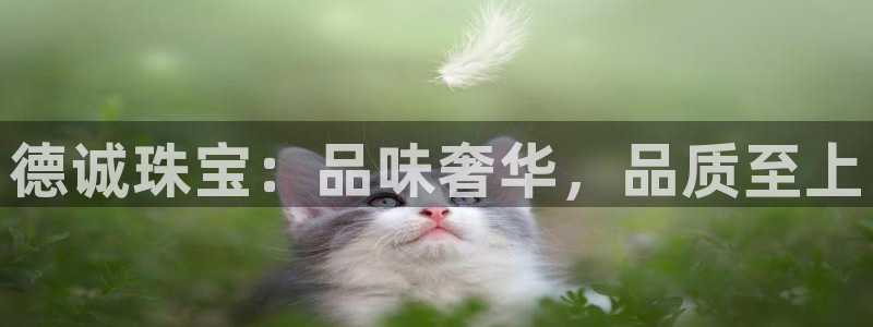 开丰娱乐平台注册地址：德诚珠宝：品味奢华，品质至上