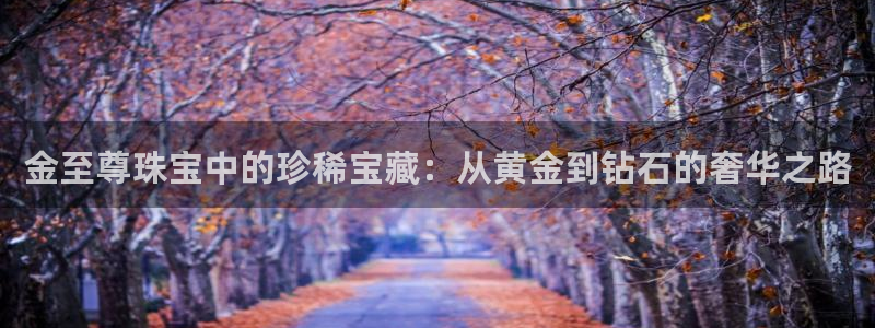 开丰娱乐日：金至尊珠宝中的珍稀宝藏：从黄金到钻石的奢华之路