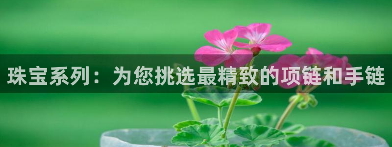 开丰娱乐新登录平台：珠宝系列：为您挑选最精致的项链和手链