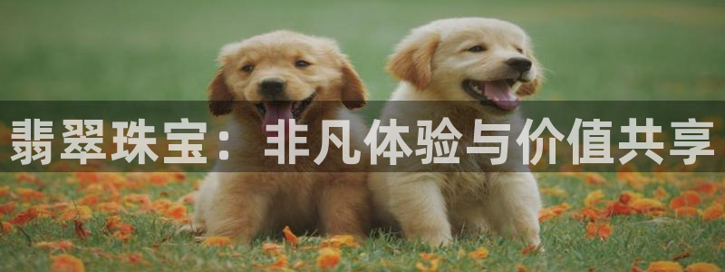 开丰娱乐行业恢复时间：翡翠珠宝：非凡体验与价值共享