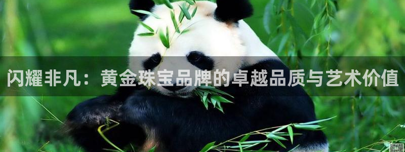 开丰娱乐主管家去判官333OO：闪耀非凡：黄金珠宝品牌的卓越品质与艺术价值