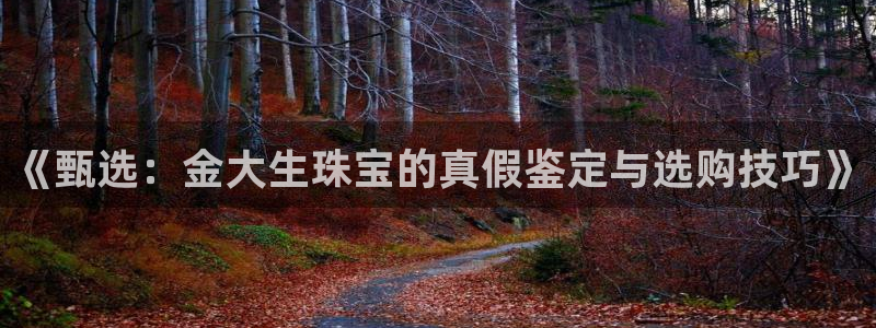 圩丰刚开的娱乐场所：《甄选：金大生珠宝的真假鉴定与选购技巧》