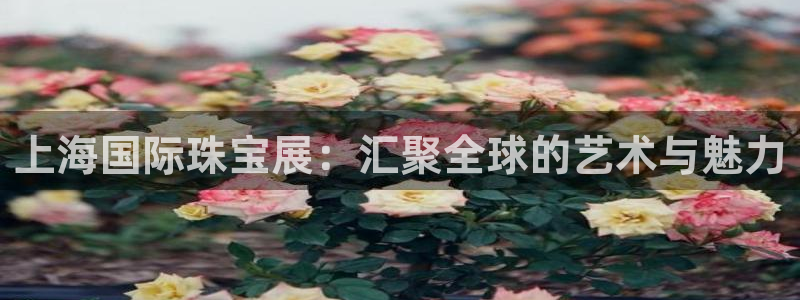 开丰娱乐体育平台：上海国际珠宝展：汇聚全球的艺术与魅力