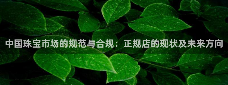 开丰娱乐：中国珠宝市场的规范与合规：正规店的现状及未来方向