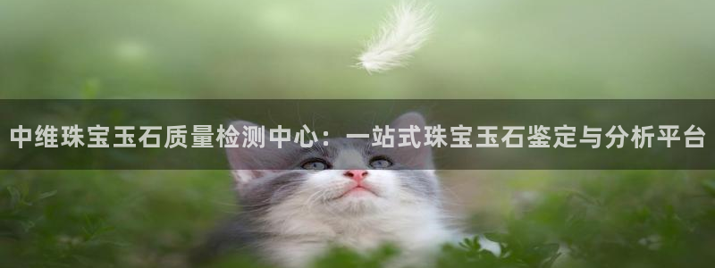 开丰娱乐登录地址入口：中维珠宝玉石质量检测中心：一站式珠宝玉石鉴定与分析平台