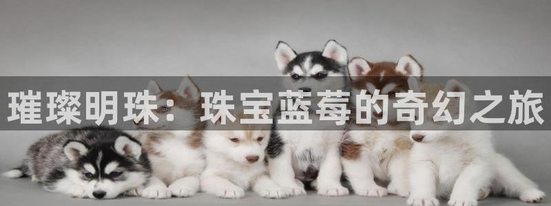 开丰娱乐若七九九：璀璨明珠：珠宝蓝莓的奇幻之旅