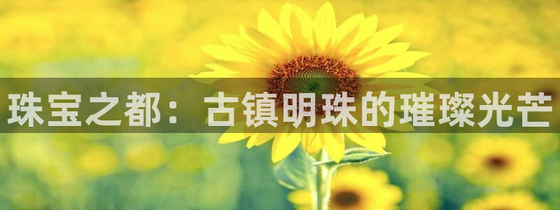 开丰娱乐登入地址在哪查：珠宝之都：古镇明珠的璀璨光芒