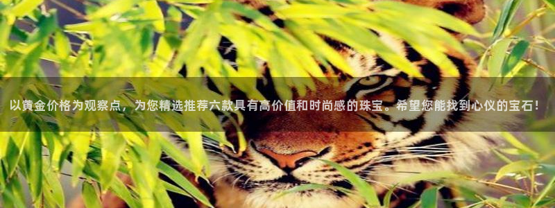 开丰娱乐注册资金多少：以黄金价格为观察点，为您精选推荐六款具有高价值和时尚感的珠