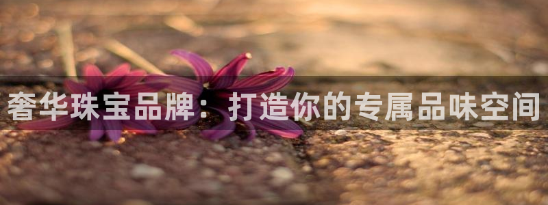 开丰娱乐上：奢华珠宝品牌：打造你的专属品味空间