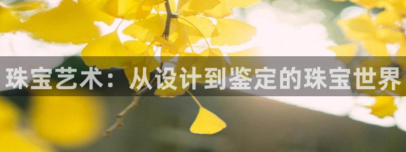 开丰娱乐官方app：珠宝艺术：从设计到鉴定的珠宝世界