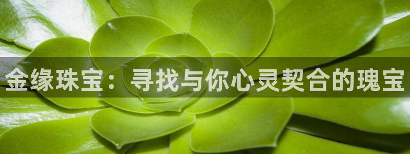 开丰娱乐平台登录网址：金缘珠宝：寻找与你心灵契合的瑰宝