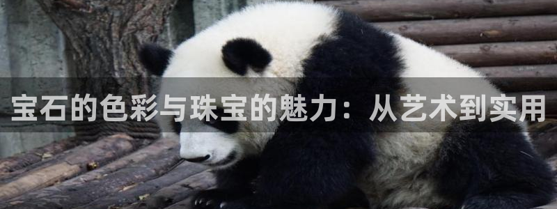 开丰娱乐登录注册：宝石的色彩与珠宝的魅力：从艺术到实用