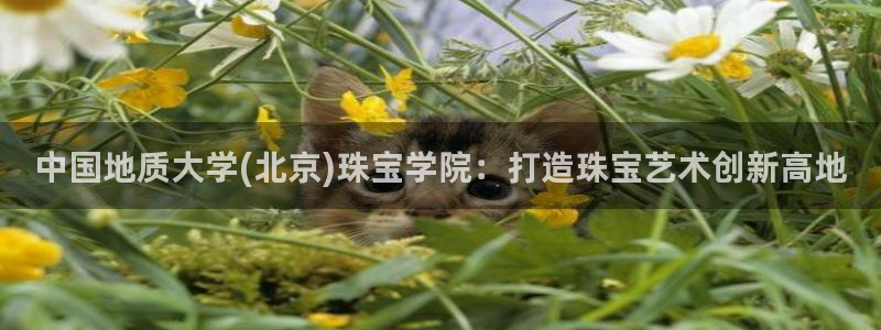 开丰娱乐左7O667：中国地质大学(北京)珠宝学院：打造珠宝艺术创新高地
