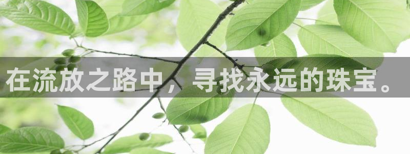 开丰娱乐后7O667：在流放之路中，寻找永远的珠宝。