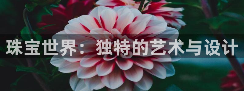 开丰娱乐平台：珠宝世界：独特的艺术与设计