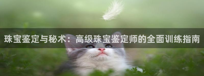 开丰娱乐登入地址在哪查：珠宝鉴定与秘术：高级珠宝鉴定师的全面训练指南