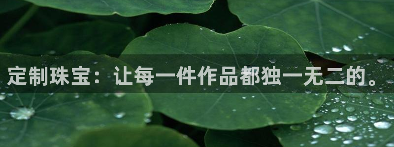 开丰娱乐下载安装：定制珠宝：让每一件作品都独一无二的。