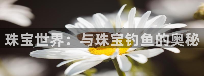 开丰娱乐登录网址：珠宝世界：与珠宝钓鱼的奥秘
