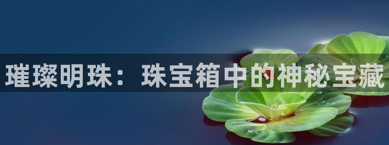 开丰娱乐日：璀璨明珠：珠宝箱中的神秘宝藏