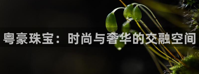 开丰娱乐登录：粤豪珠宝：时尚与奢华的交融空间