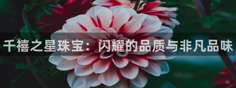 开丰娱乐若七九九：千禧之星珠宝：闪耀的品质与非凡品味