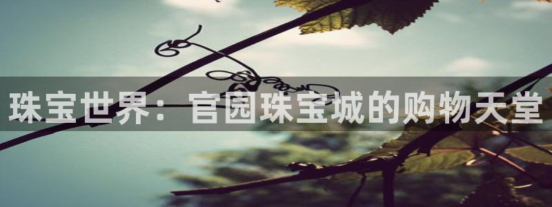 开丰娱乐网站官网首页：珠宝世界：官园珠宝城的购物天堂