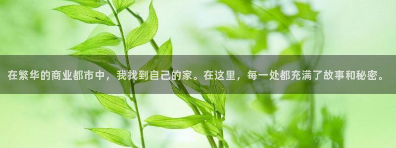 开丰娱乐更多平台：在繁华的商业都市中，我找到自己的家。在这里，每一处都充满了故事