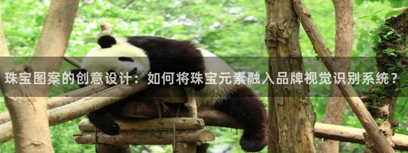 开丰娱乐万六七五一38：珠宝图案的创意设计：如何将珠宝元素融入品牌视觉识别系统？