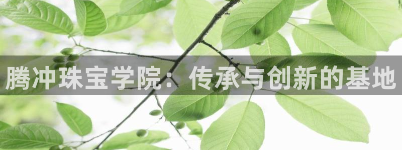 开丰娱乐月7O667：腾冲珠宝学院：传承与创新的基地