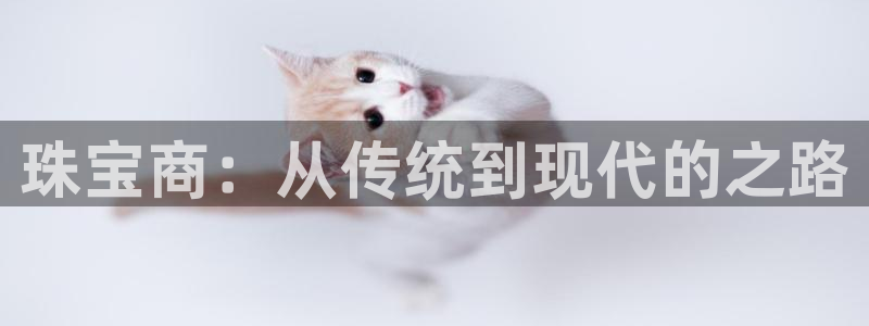 开丰娱乐注册自判官333OO：珠宝商：从传统到现代的之路