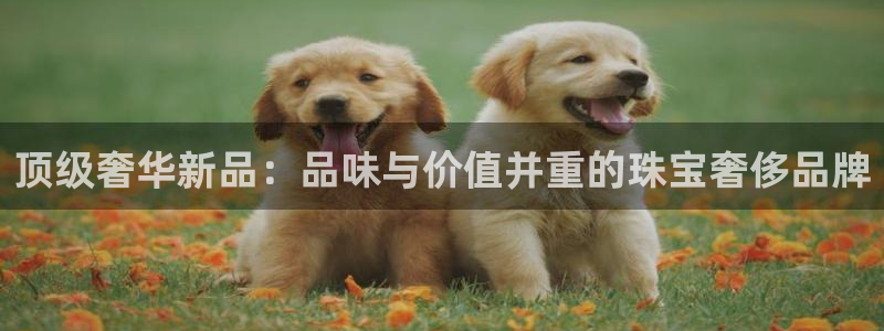 开丰娱乐登入地址在哪里：顶级奢华新品：品味与价值并重的珠宝奢侈品牌
