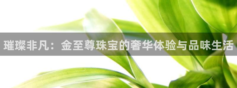开丰娱乐平台注册：璀璨非凡：金至尊珠宝的奢华体验与品味生活