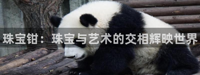 开丰娱乐左7O667：珠宝钳：珠宝与艺术的交相辉映世界