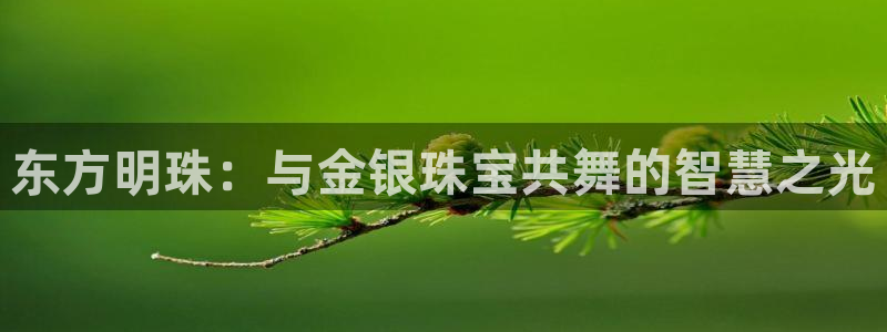 开丰娱乐官网最新消息：东方明珠：与金银珠宝共舞的智慧之光
